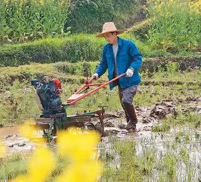 疫情防控的基本常识是什么？（疫情防控和春耕备耕两不误）